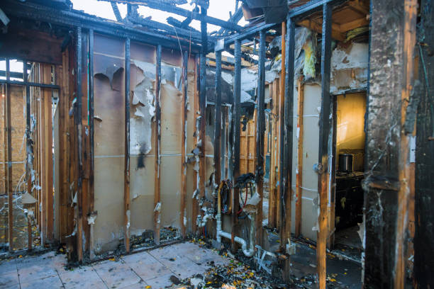 Professional Fire Damage Removal technician working in Coyne Center, IL